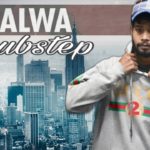 Jalwa | Dubstep Popping Robotics | Mix Dance | Santy Mashup