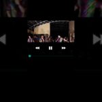 MASTERMIND//Dance reggae