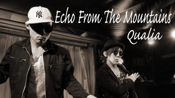 【QUALIA】Echo From The Mountains / DUBSTEP DANCE