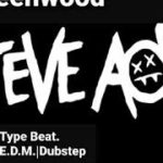 STEVE AOKI |TYPE BEAT “DUBSTEP |EDM|DANCE