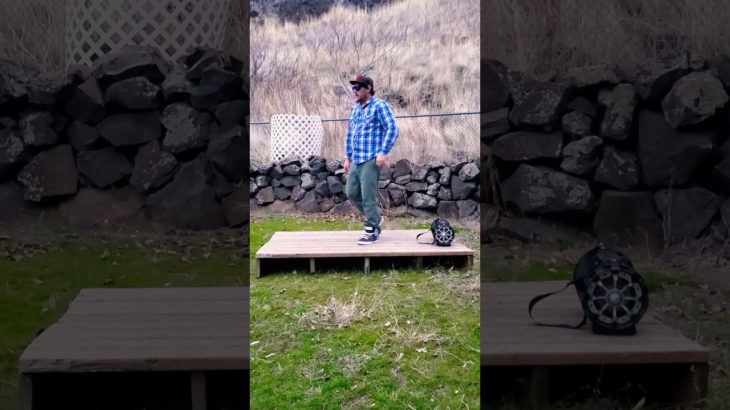 The Dalles Dubstep Dancer- last dance of 2019