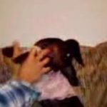 #11》Baby Dachshund & Me dancing Vogue. |~Simple Jorna.