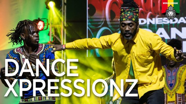 A Jamaican Dance for every Genre by Dance Xpressionz, Reggae Month 2020