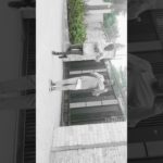 Dababy Bop-Dance video 2020 king Dougie so lit and moses owena