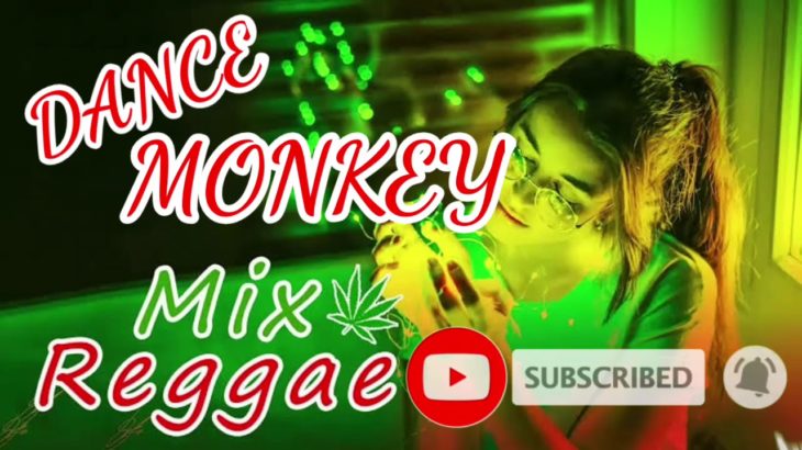 Dance Monkey Reggae Mix