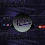 MELO DE GIRLS -(WELLIO SILLVA REGGAE REMIX 2020)