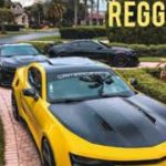 Melo reggae _bicho do mato_pan SC _ wg dance mix