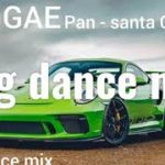 Reggae melo & PAN-SANTA CATARINA 2020-wg dance mix
