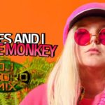 Tones And I – Dance Monkey (Reggae Remix) DJ PEDRO MIX