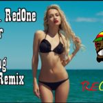 Akon ft. RedOne – Warrior [ Dj Vyking _ Reggae Remix ]