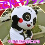 【仮面女子とダンス！】仮面女子とP-martTVのぱぁすけがDダンス踊ってみた【ドーナッター】