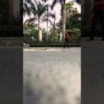 SL Dubstep dance Dub RS