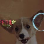 PESTA PORA__Rekombad Crew Ft K2 Gank (Reggae Dance)
