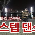 덥스탭댄스 ,dubstep dance (프리스타일댄스)