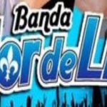 BANDA FLOR DE LIZ 1995 DANCE REGGAE