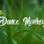 DANCE MONKEY – TONES AND I (TMRS Reggae Cover) ft. CpdL