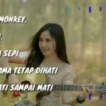 FULL ALBUM DARA AYU – PLAYLIST 33 | LAGU INDO | DANCE MONKEY REGGAE TERBARU 2019 | DARA AYU REGGAE |
