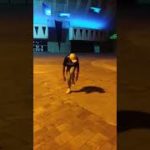 Griddy Mafia- Krump Lyon