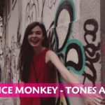 Tones and I – Dance monkey | Cover Reggae video sinematik (Lyrics)