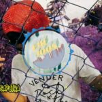 Reggae Dance monkey.